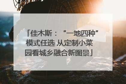 佳木斯：“一地四种” 模式任选 从定制小菜园看城乡融合新图景