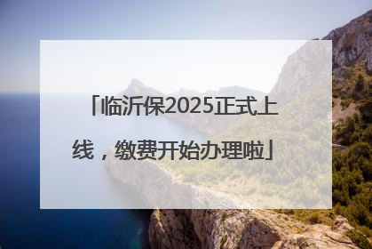 临沂保2025正式上线，缴费开始办理啦