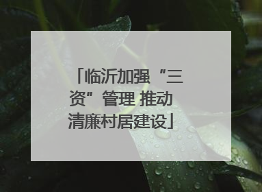 临沂加强“三资”管理 推动清廉村居建设