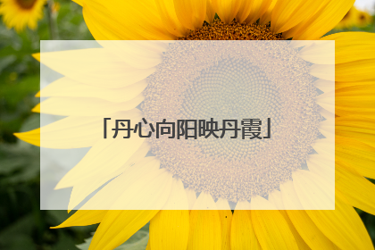 丹心向阳映丹霞