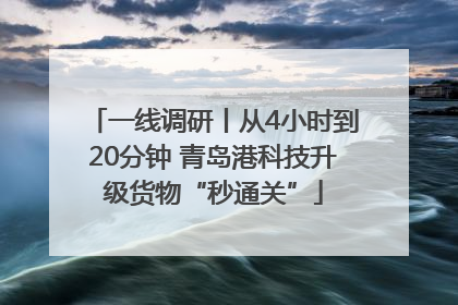 一线调研丨从4小时到20分钟 青岛港科技升级货物“秒通关”