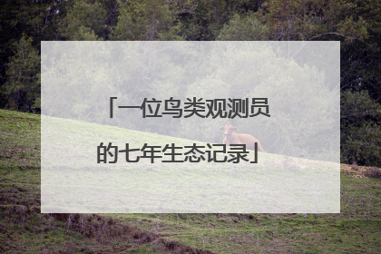 一位鸟类观测员的七年生态记录