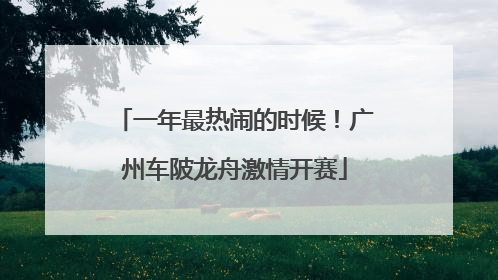 一年最热闹的时候！广州车陂龙舟激情开赛