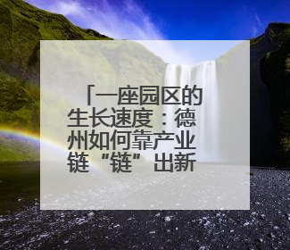 一座园区的生长速度：德州如何靠产业链“链”出新未来