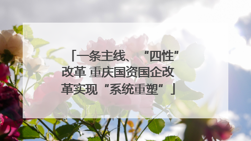 一条主线、“四性”改革 重庆国资国企改革实现“系统重塑”