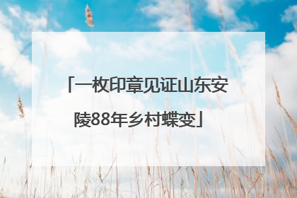 一枚印章见证山东安陵88年乡村蝶变