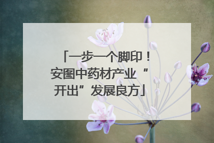 一步一个脚印！安图中药材产业“开出”发展良方