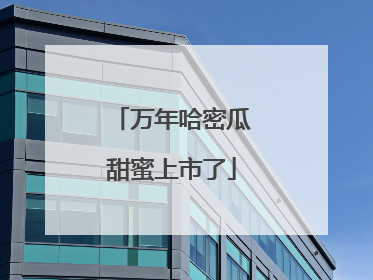 万年哈密瓜甜蜜上市了