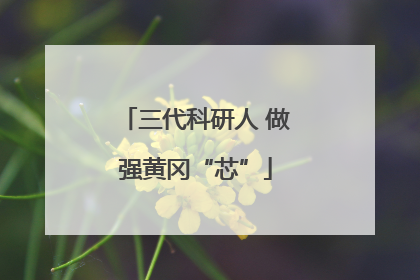 三代科研人 做强黄冈“芯”
