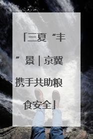 三夏“丰”景｜京冀携手共助粮食安全