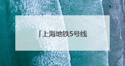 上海地铁5号线被逼停只因女子的包被车门夹住