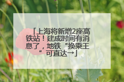 上海将新增2座高铁站！建成时间有消息了，地铁“换乘王”可直达→