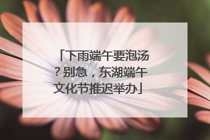 下雨端午要泡汤？别急，东湖端午文化节推迟举办