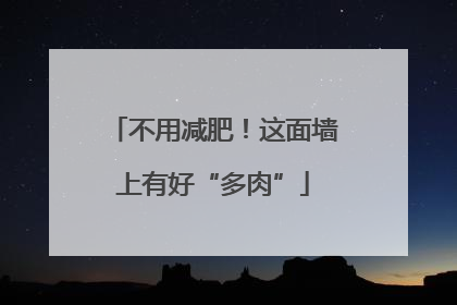 不用减肥！这面墙上有好“多肉”