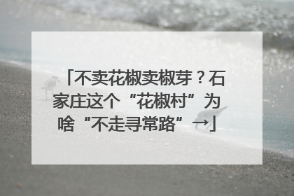不卖花椒卖椒芽？石家庄这个“花椒村”为啥“不走寻常路”→