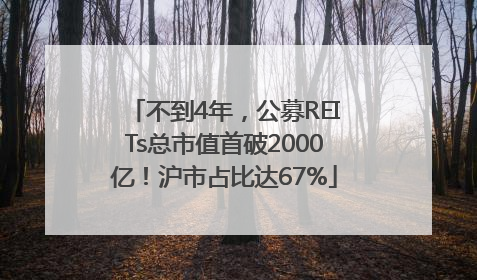 不到4年，公募REITs总市值首破2000亿！沪市占比达67%