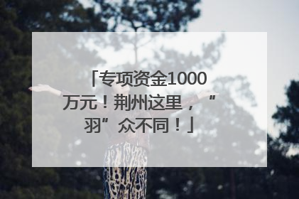专项资金1000万元！荆州这里，“羽”众不同！