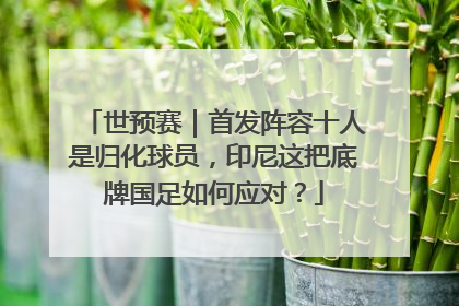 世预赛｜首发阵容十人是归化球员，印尼这把底牌国足如何应对？