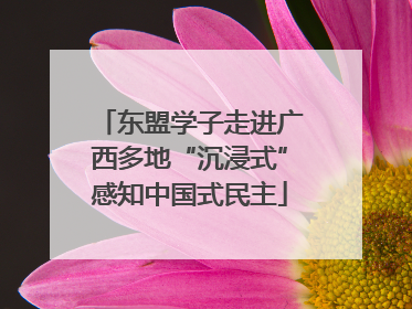 东盟学子走进广西多地“沉浸式”感知中国式民主