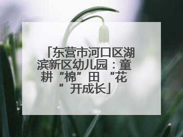 东营市河口区湖滨新区幼儿园：童耕“棉”田 “花”开成长