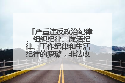 严重违反政治纪律、组织纪律、廉洁纪律、工作纪律和生活纪律的罗璇，非法收受他人巨额财物