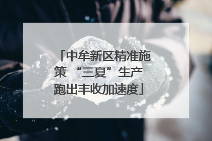 中牟新区精准施策 “三夏”生产跑出丰收加速度