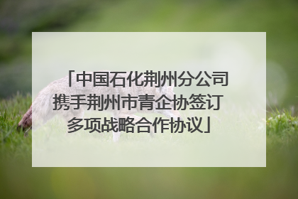 中国石化荆州分公司携手荆州市青企协签订多项战略合作协议