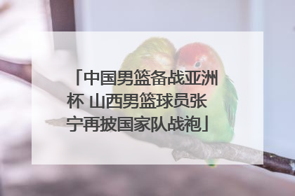 中国男篮备战亚洲杯 山西男篮球员张宁再披国家队战袍