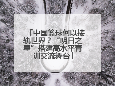 中国篮球何以接轨世界？“明日之星”搭建高水平青训交流舞台