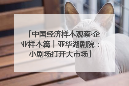 中国经济样本观察·企业样本篇︱亚华湖剧院：小剧场打开大市场