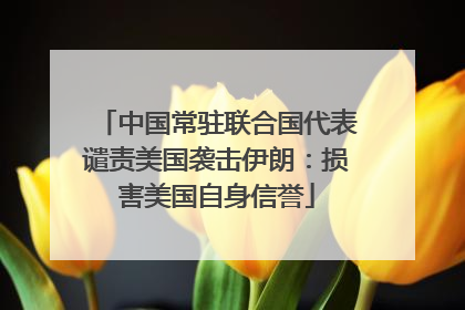 中国常驻联合国代表谴责美国袭击伊朗：损害美国自身信誉