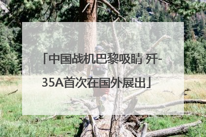 中国战机巴黎吸睛 歼-35A首次在国外展出