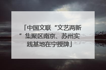 中国文联“文艺两新”集聚区南京、苏州实践基地在宁授牌