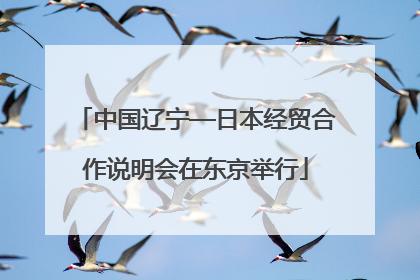 中国辽宁—日本经贸合作说明会在东京举行