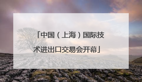 中国（上海）国际技术进出口交易会开幕