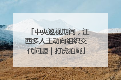 中央巡视期间，江西多人主动向组织交代问题｜打虎拍蝇