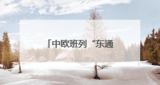 中欧班列“东通道”交通咽喉绥芬河隧道全线贯通