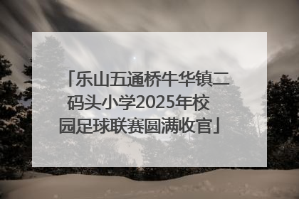 乐山五通桥牛华镇二码头小学2025年校园足球联赛圆满收官
