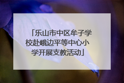 乐山市中区牟子学校赴峨边平等中心小学开展支教活动