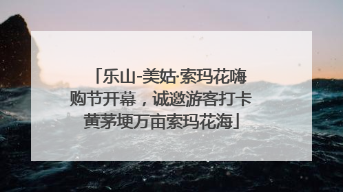 乐山-美姑·索玛花嗨购节开幕，诚邀游客打卡黄茅埂万亩索玛花海