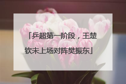 乒超第一阶段，王楚钦未上场对阵樊振东