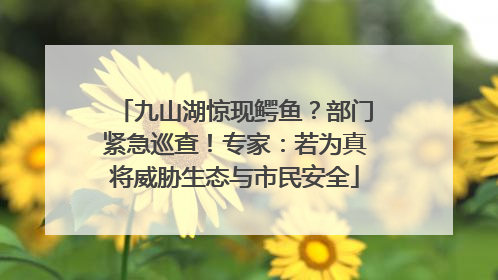 九山湖惊现鳄鱼？部门紧急巡查！专家：若为真将威胁生态与市民安全