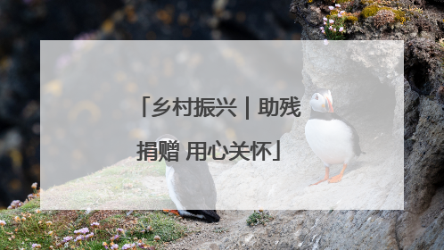 乡村振兴｜助残捐赠 用心关怀