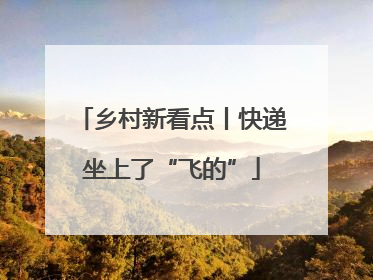 乡村新看点丨快递坐上了“飞的”