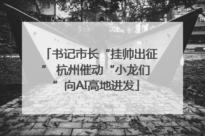 书记市长“挂帅出征” 杭州催动“小龙们”向AI高地进发