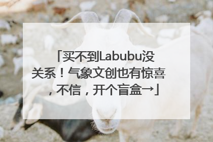 买不到Labubu没关系！气象文创也有惊喜，不信，开个盲盒→