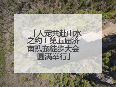 人宠共赴山水之约！第五届济南携宠徒步大会圆满举行