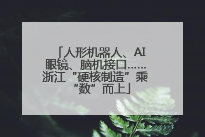 人形机器人、AI眼镜、脑机接口……浙江“硬核制造”乘“数”而上