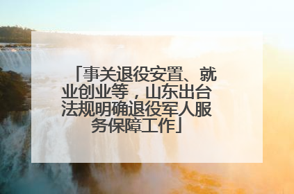 事关退役安置、就业创业等，山东出台法规明确退役军人服务保障工作