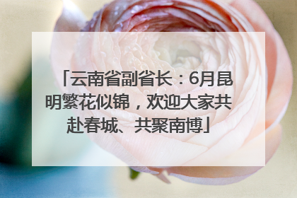 云南省副省长：6月昆明繁花似锦，欢迎大家共赴春城、共聚南博